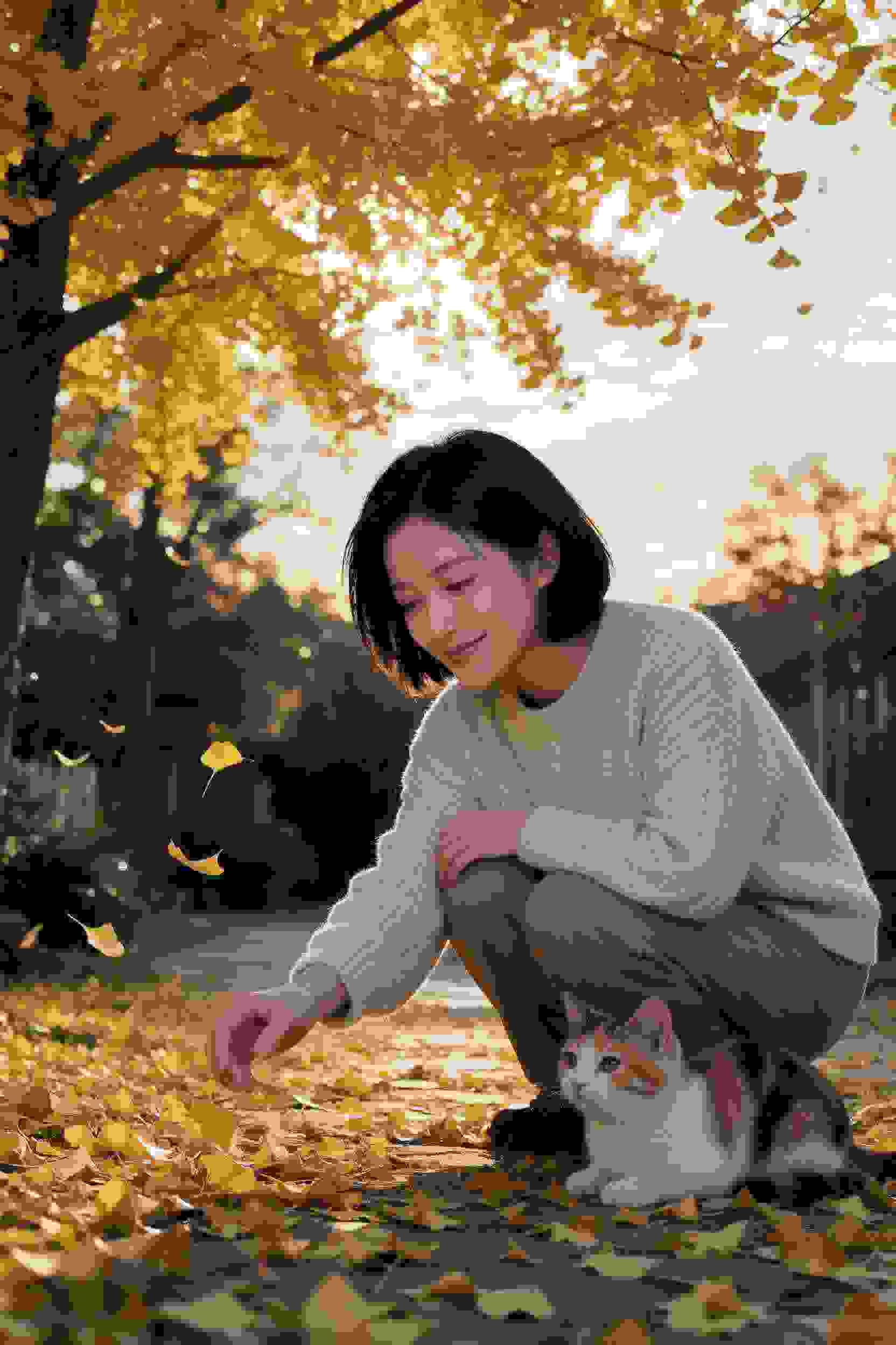 漫剧作品